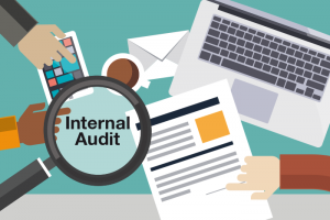 Internal Audit Services in Indonesia