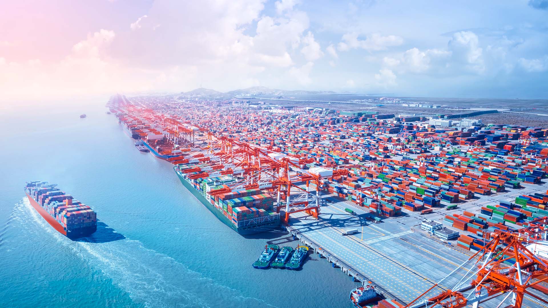 Export / Importer Registration Information